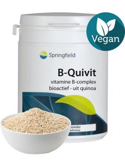 Springfield B-Quivit B complex