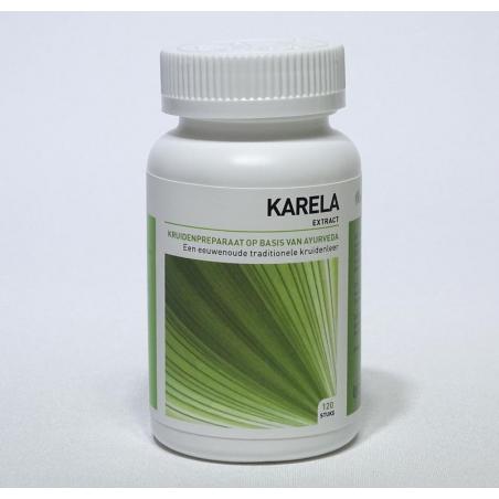 Ayurveda Health Karela momordica