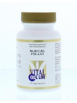 Vital Cell Life Vitamine B6/B12/B2 folaat