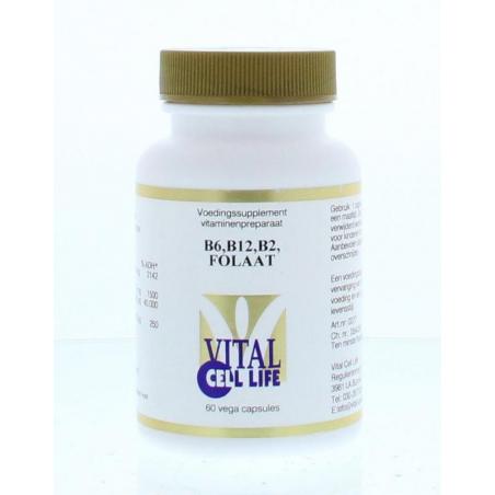 Vital Cell Life Vitamine B6/B12/B2 folaat