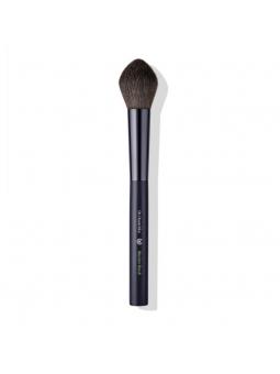 Blusher brush