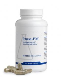 Pause PM