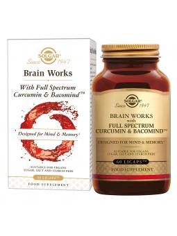 Brain Works