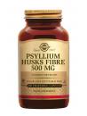 Psyllium Husks Fibre 500 mg