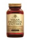 Vegan Digestive Enzymes