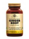 Ginger Root
