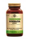 Echinacea Extract