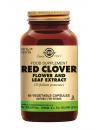 Red Clover Flower and Leaf Extract
