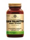 Saw Palmetto Berry Extract