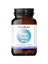 Sage Leaf Extract