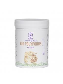 Mycopower Bio polyporus poeder