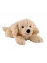 Warmies golden retriever