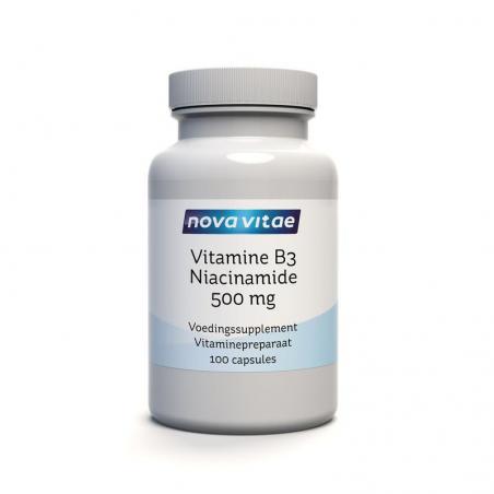 Nova Vitae vitamine b3 niacinamide 500mg