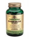 Ginkgo Biloba Leaf Extract