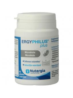 Ergyphilus plus