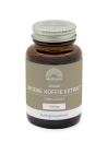 Mattisson groene koffiebonen extr 500mg