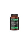 Echinacea Forte kopen | Vits & Mins