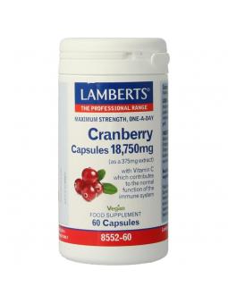 Lamberts cranberry /l8552-60