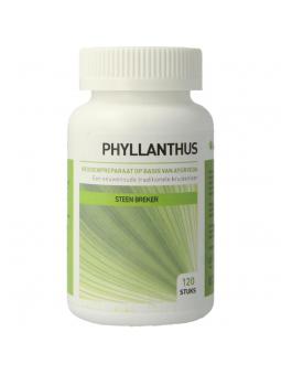 Ayurveda Health phyllanthus niruri