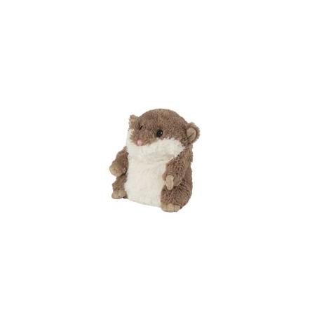 Hamster 1st