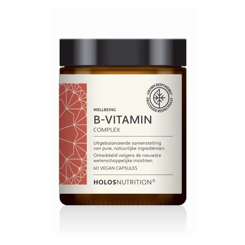 Holos B-Vitamin Complex – Voor energie en focus | vitsenmins.nl