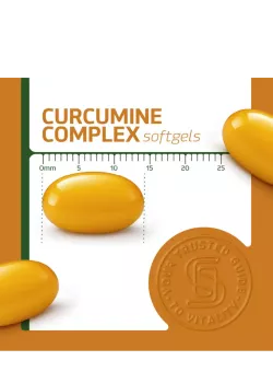 Synofit Curcumine Complex | Bio-CM100® met Astaxanthine | Vits & Mins