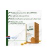 Synofit Curcumine Complex | Bio-CM100® met Astaxanthine | Vits & Mins