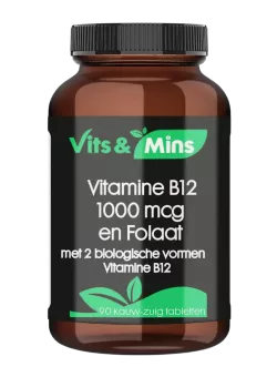 Vitamine B12 1000 mcg en Folaat Zuigtablet | Vits & Mins