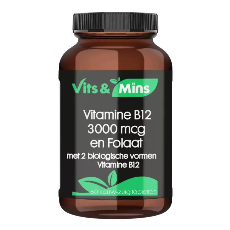 Vitamine B12 3000 mcg en Folaat – Hoge dosering, snel opneembaar | vitsenmins.nl