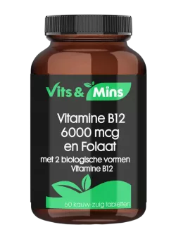 Vitamine B12 6000 mcg en Folaat Zuigtablet | Vits & Mins