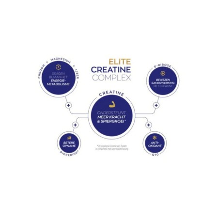 Vitakruid Elite Creatine Complex met D-Ribose Q10 | Vits & Mins