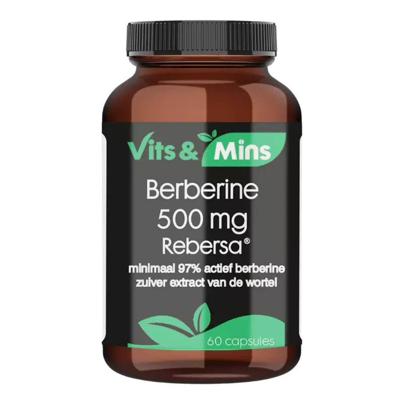 Berberine 500mg kopen | Vits & Mins