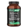 Berberine 500mg kopen | Vits & Mins