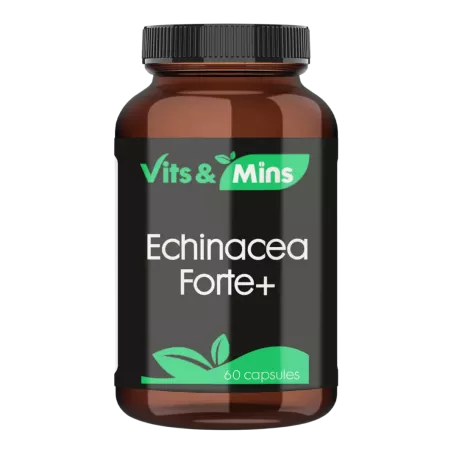 Echinacea Forte kopen | Vits & Mins