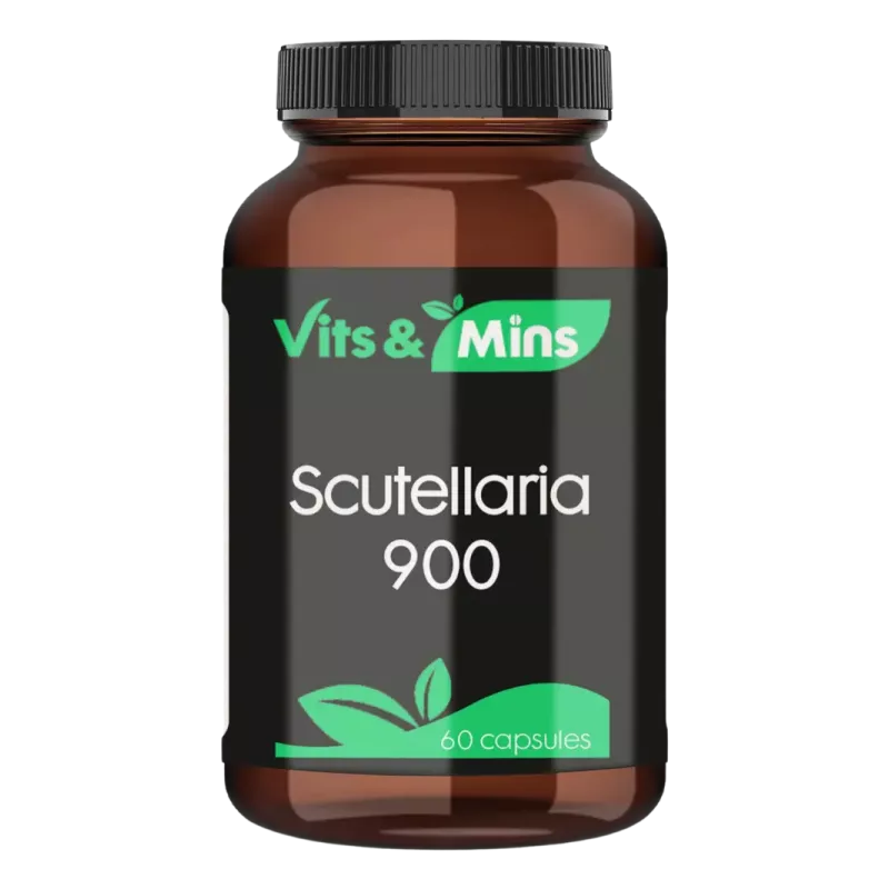 Scutellaria 900mg kopen | Vits & Mins