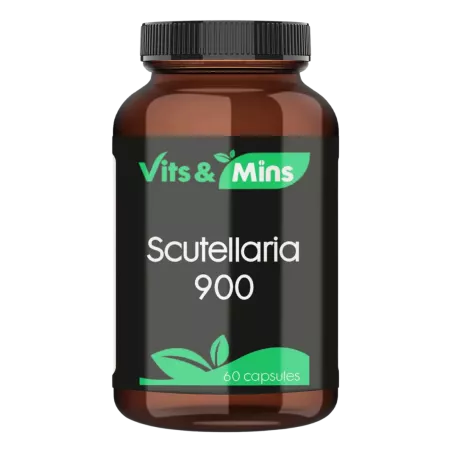 Scutellaria 900mg kopen | Vits & Mins