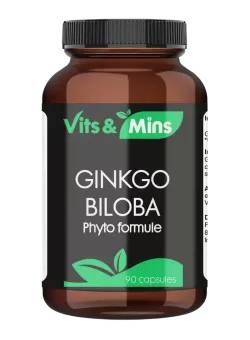 Ginkgo Biloba extract 120 mg kopen | Vits & Mins