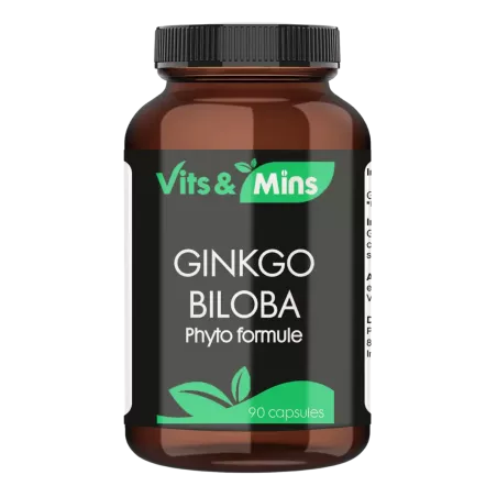Ginkgo Biloba extract 120 mg kopen | Vits & Mins