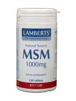 Lamberts MSM 1000mg