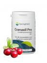 Springfield Cranaxil Pro cranberryconcentrate 500 mg