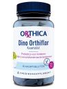 Orthica Dino orthiflor