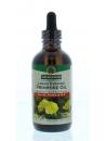 Natures Answer Vloeibaar teunisbloemolie 10% GLA