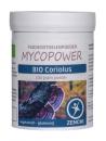 Mycopower Coriolus poeder bio