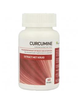 Ayurveda Health Curcumine extract met kruid