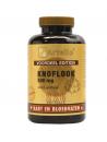 Knoflook 500mg + 250mg lecithine