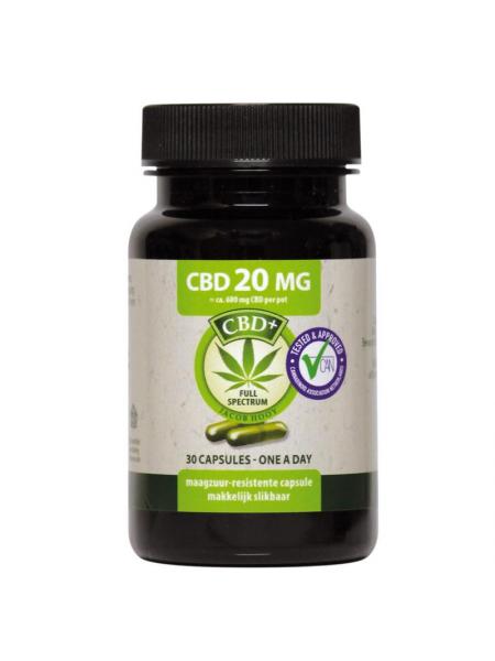 CBD Capsules 20mg