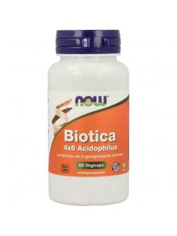 Biotica 4x6 vh probiotica