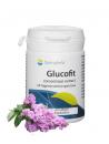 Glucofit